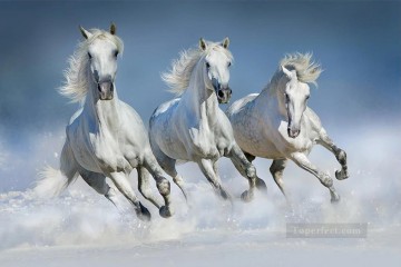 Horse Painting - running grey horses animals